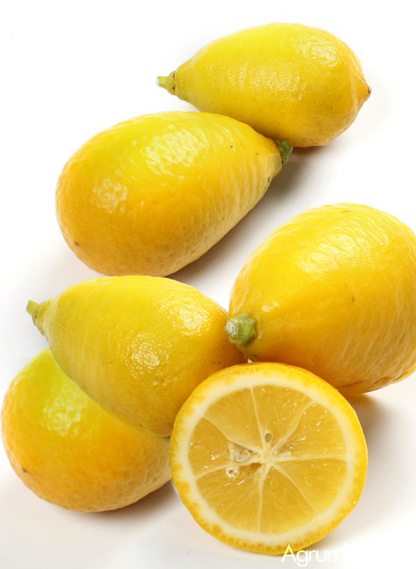 Limequat Delicious Citrus Hybrids that are Perfect for Adding a Tangy Kick to Your Mealtimes My Exotic Fruit The UK s Leading Exotic Fruit Retailer